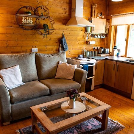 Cherry Cabin - Little Log Cabin In Wales Bettws Cedewain Exterior photo