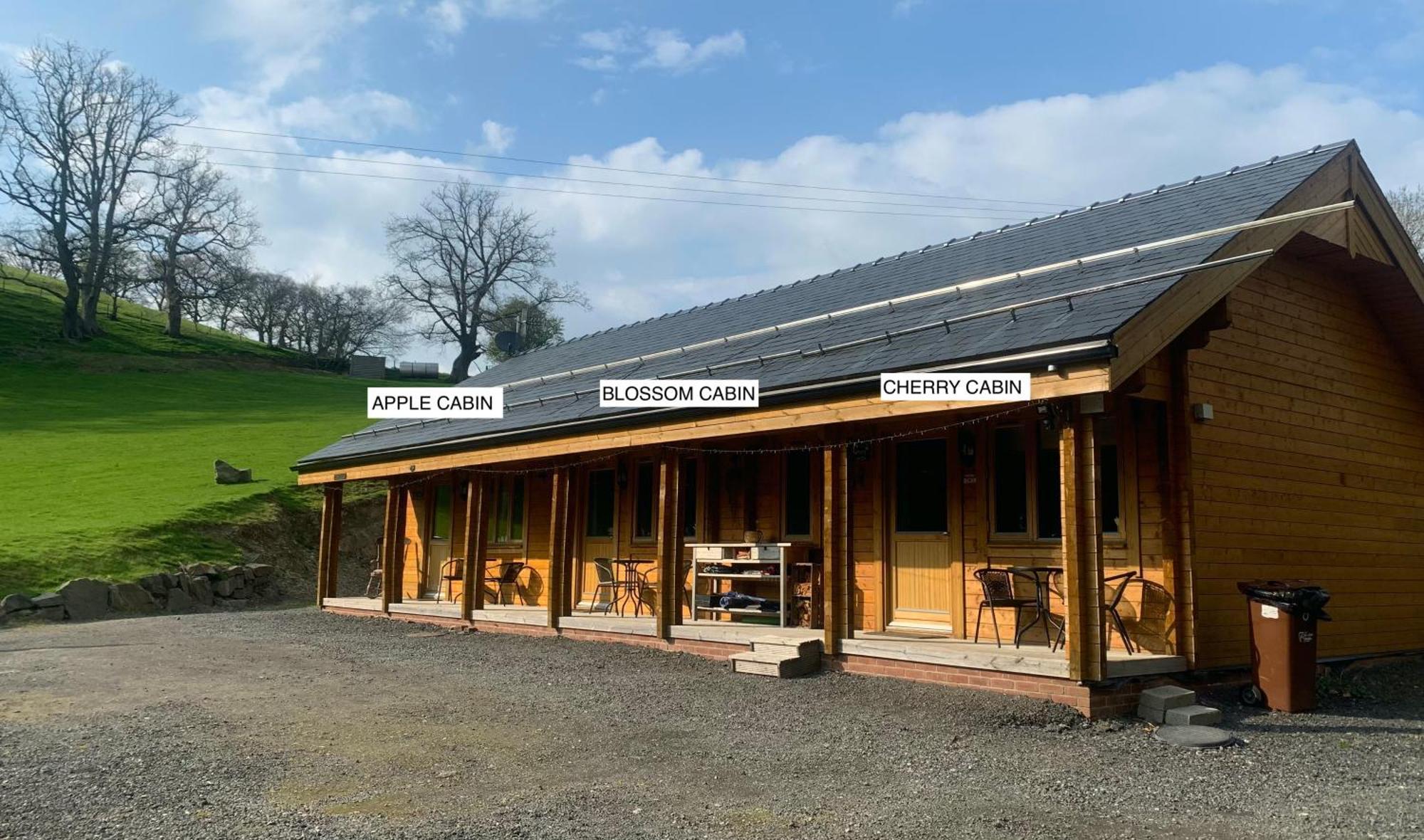 Cherry Cabin - Little Log Cabin In Wales Bettws Cedewain Exterior photo